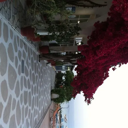 Likourgos Kavos