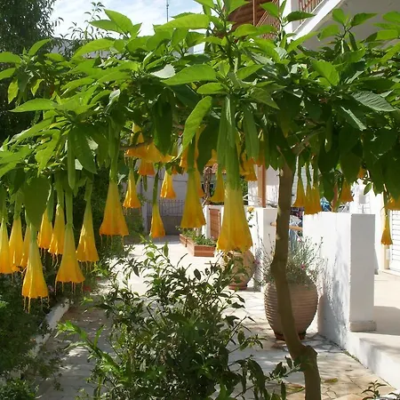 Likourgos * Kavos