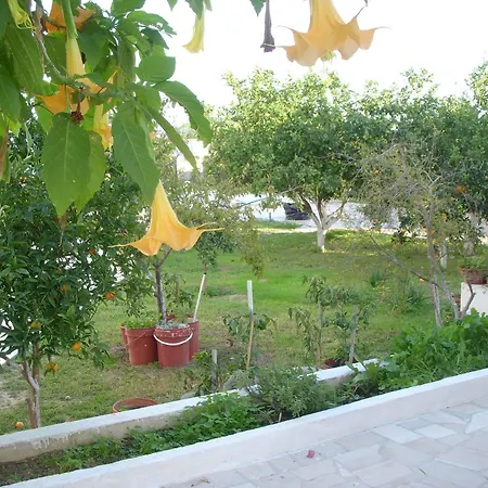 Likourgos Apartment *